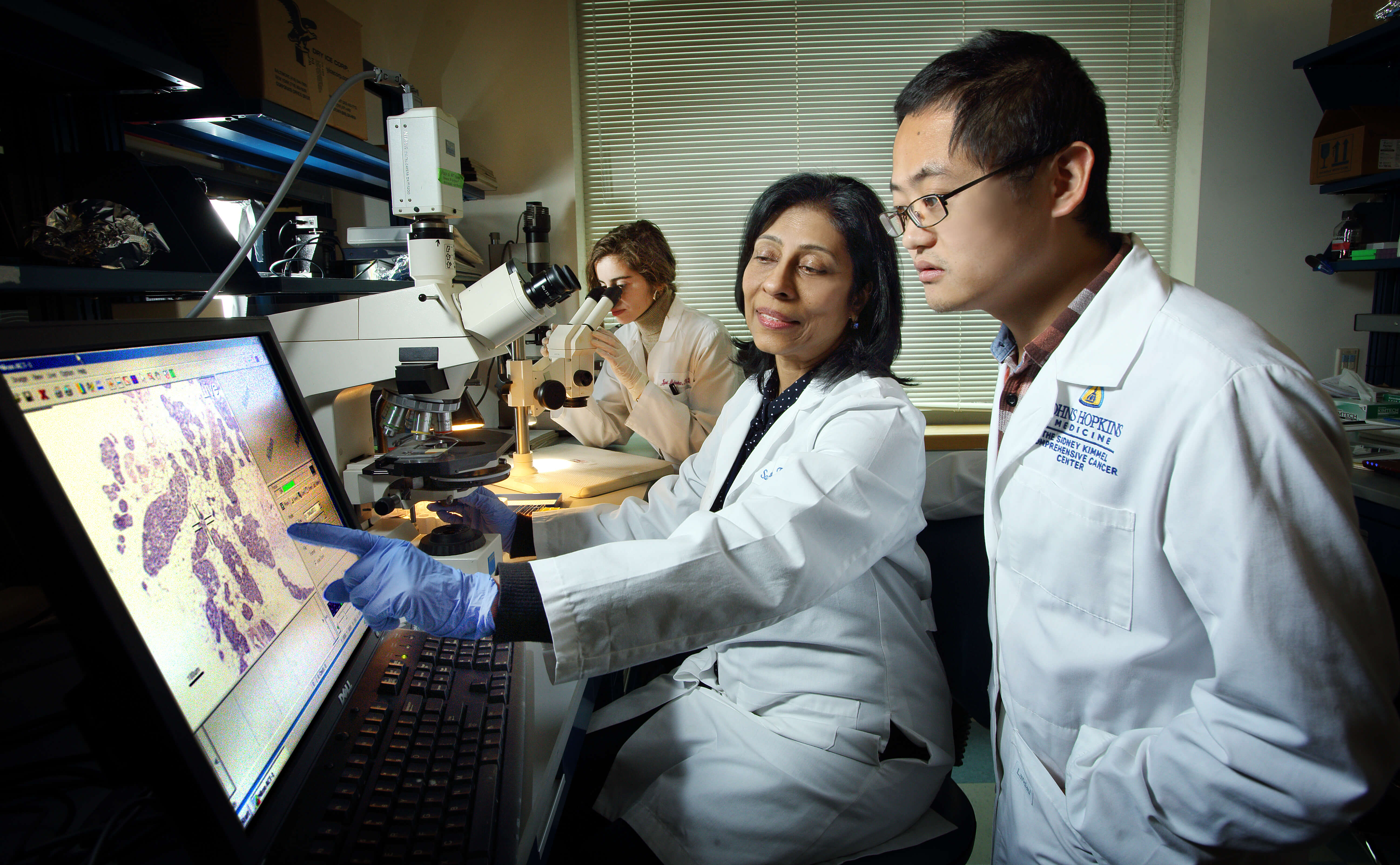 Research & Clinical Trials Johns Hopkins Kimmel Cancer Center